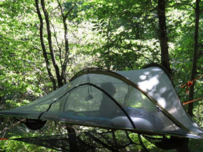 Tente suspendue au coeur de la forêt